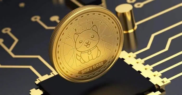 宝贝狗币(BabyDoge)是什么币?宝贝狗币价格走势及未来如何