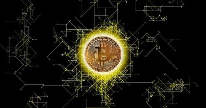 如何选择靠谱的数字货币挖矿平台 数字货币挖矿平台有哪些?