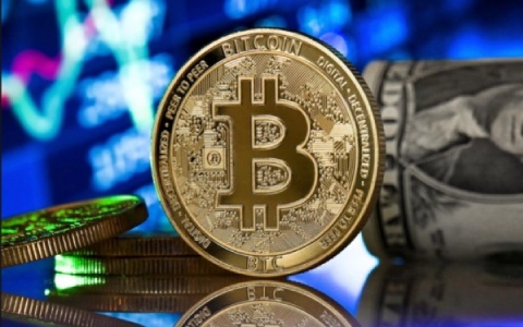 公链都有哪些币?2024年热门公链币前十盘点