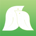 伊果(YiGuo)