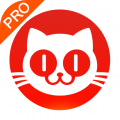 猫眼专业版实时票房查询app