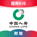 中国人寿财险