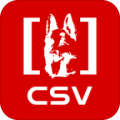 CSV