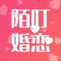 陌叮
