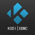 kodi播放器tv版汉语