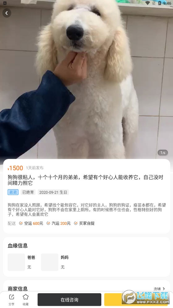 买只宠物app