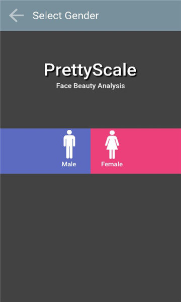 pretty scale中文版