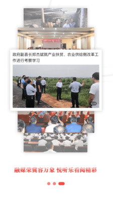 冀云武强app官方版