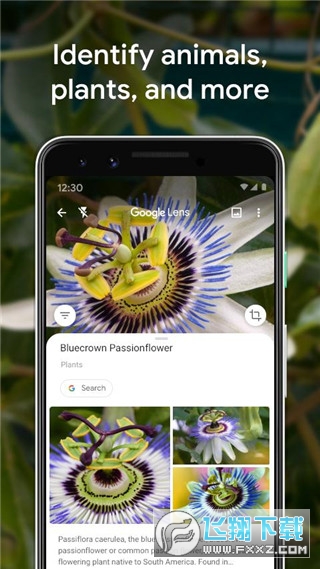 Google Lens免费安装