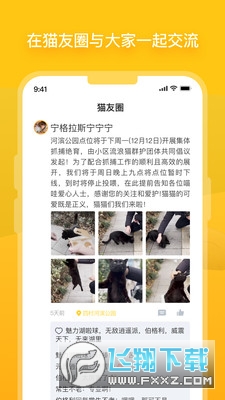 哈啰街猫app官方最新版