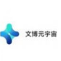 文博元宇宙app官方版