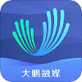 深爱大鹏app官方版