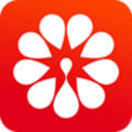 河姆渡app