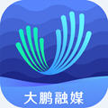深爱大鹏新区融媒体中心app