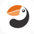 海雀app