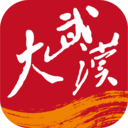 大武汉app官方版2024