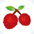 红荔枝app