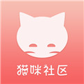 新版猫社区官方免费下载安卓版