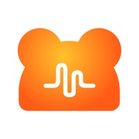 nn语音社交app安卓最新版