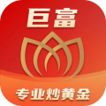巨富金业