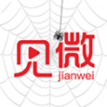 见微