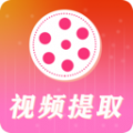 去水印视频解析