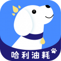 哈利油耗