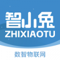 智小兔