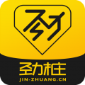 劲桩