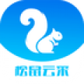 松鼠云采