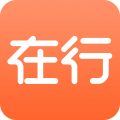 在行
