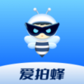 爱拍蜂