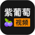 紫葡萄视频