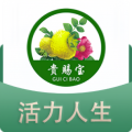 贵赐宝