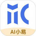 V策