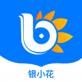银小花