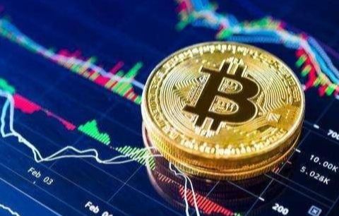 ADA币最多福利官方入口TOP10ADA币官方入口最安全市场占有率排名