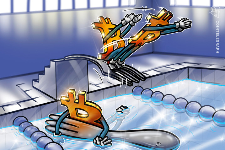 BCH、BSV 和 C上个月上涨可观 能否保持收益？