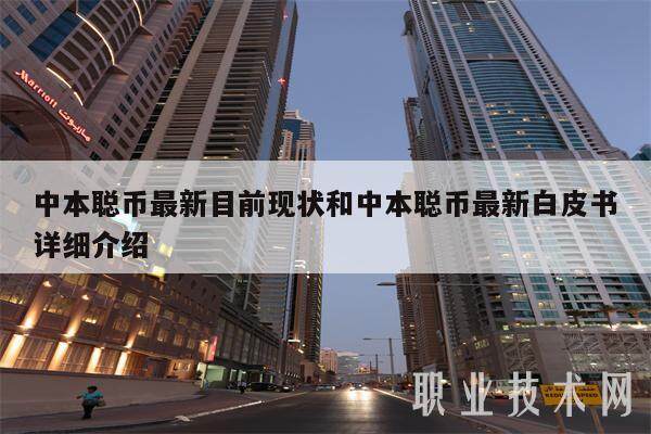 中本聪币最新目前现状和中本聪币最新白皮书详细介绍-第1张图片-欧意下载