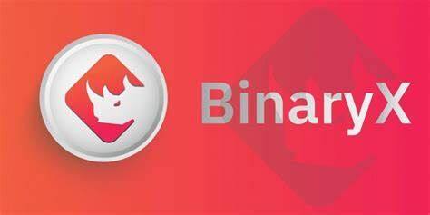 什么是BinaryX币-第1张图片-欧意下载