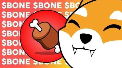 什么是Bone ShibaSwap(BONE)币-第1张图片-欧意下载