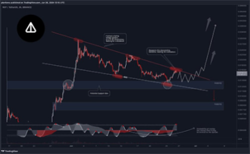 Notcoin-2.jpg