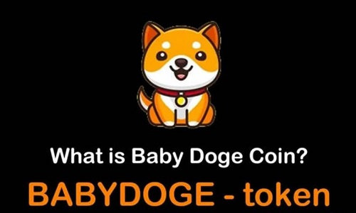 babydog币上线几家交易所？babydog币购买流程！宝贝狗币怎么交易途径一览