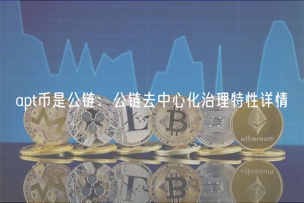 apt币是公链：公链去中心化治理特性详情