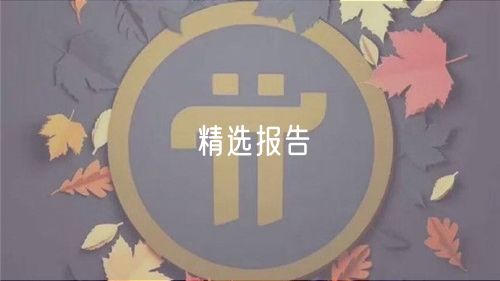 比特币精选报告