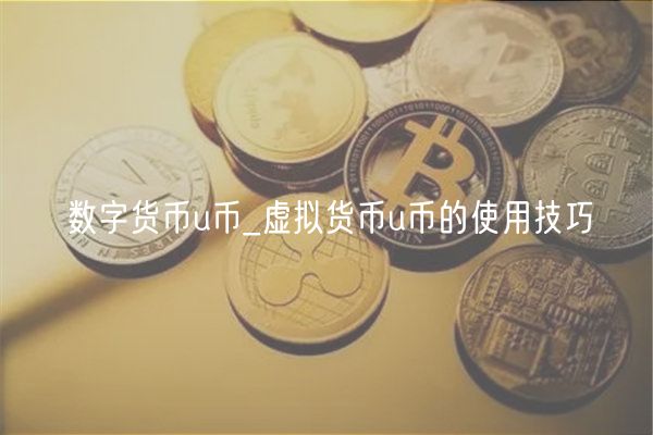 数字货币u币_虚拟货币u币的使用技巧