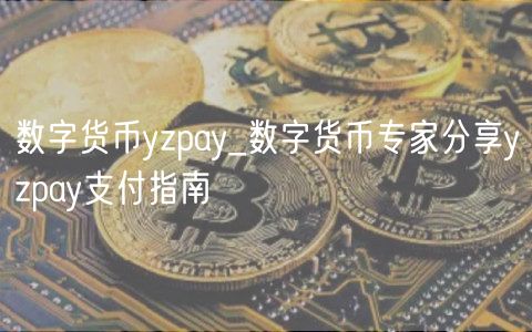 数字货币yzpay_数字货币专家分享yzpay支付指南