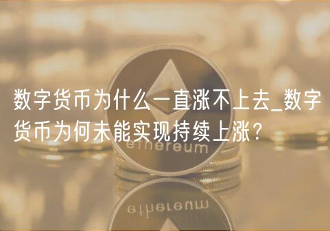 数字货币为什么一直涨不上去_数字货币为何未能实现持续上涨？