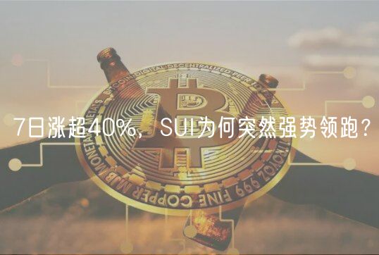 7日涨超40%，SUI为何突然强势领跑？