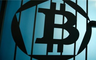2024年最奇怪的加密货币趣事汇总